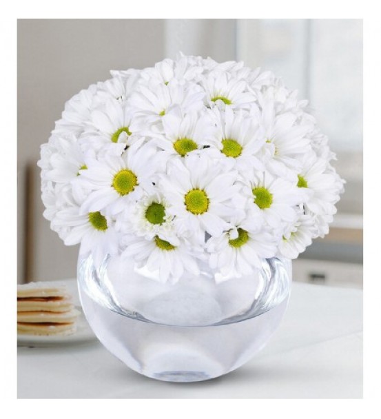 Daisies in a Glass Vase